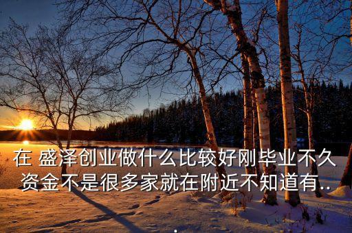 在 盛澤創(chuàng)業(yè)做什么比較好剛畢業(yè)不久資金不是很多家就在附近不知道有...