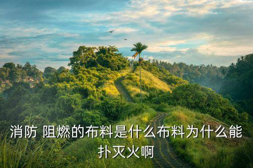 消防 阻燃的布料是什么布料為什么能撲滅火啊