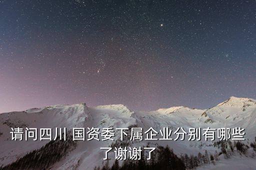 國資委紡織局