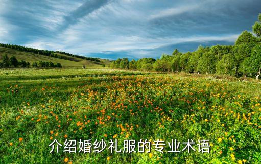 介紹婚紗禮服的專業(yè)術語