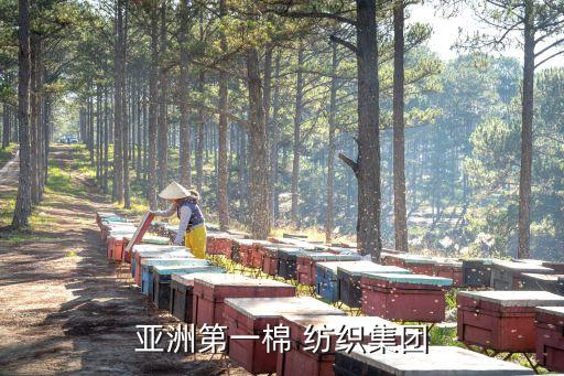 魏橋紡織吧,威海魏橋紡織有限公司
