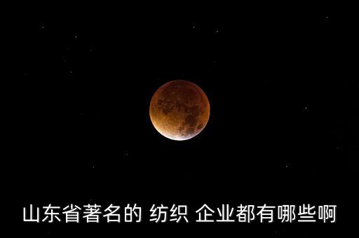 山東省著名的 紡織 企業(yè)都有哪些啊
