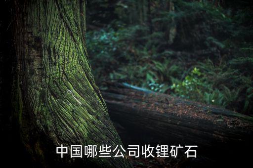 深圳恒天立信工業(yè)有限公司,中國恒天立信國際有限公司是國企嗎
