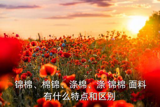  錦棉、棉錦、滌棉、滌 錦棉 面料有什么特點和區(qū)別
