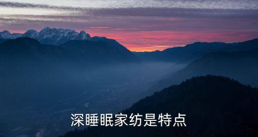 深睡眠家紡是特點(diǎn)