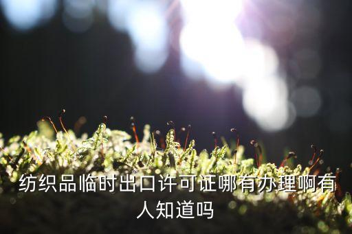  紡織品臨時出口許可證哪有辦理啊有人知道嗎