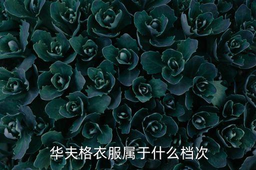  華夫格衣服屬于什么檔次