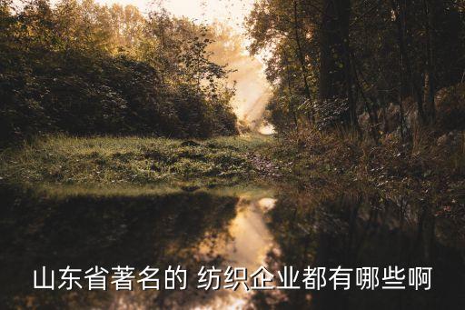 山東省著名的 紡織企業(yè)都有哪些啊