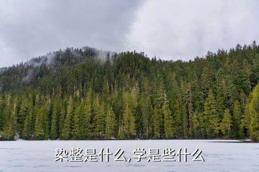 染整是什么,學(xué)是些什么