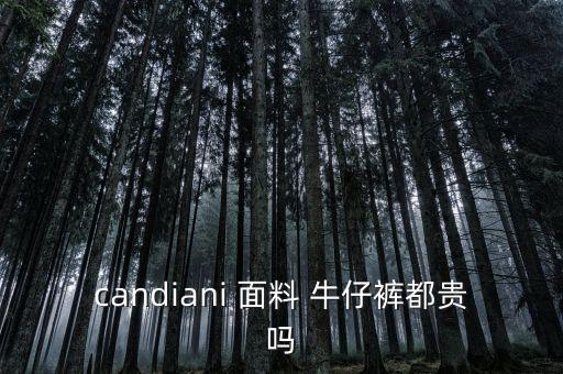 candiani 面料 牛仔褲都貴嗎