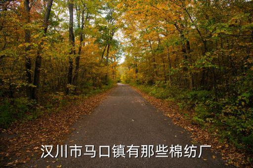 漢川市馬口鎮(zhèn)有那些棉紡廠