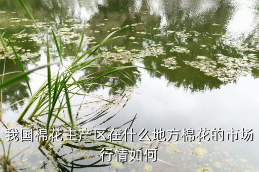 中國紡織原料最新價格,紡織原料價格app