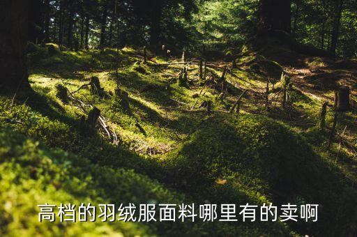 高檔的羽絨服面料哪里有的賣啊