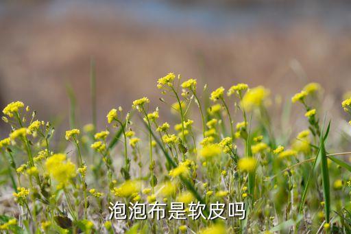  泡泡布是軟皮嗎