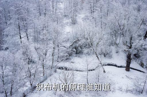 紡織機羅拉是什么