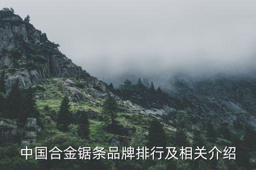 中國(guó)合金鋸條品牌排行及相關(guān)介紹