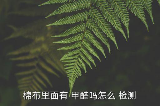 紡織品甲醛檢測(cè)標(biāo)準(zhǔn)