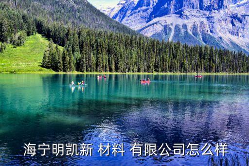  海寧明凱新 材料 有限公司怎么樣