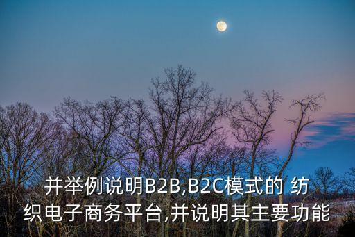 并舉例說明B2B,B2C模式的 紡織電子商務(wù)平臺(tái),并說明其主要功能