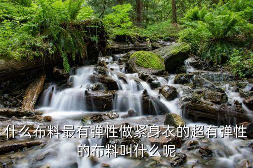 什么布料最有彈性做緊身衣的超有彈性的布料叫什么呢
