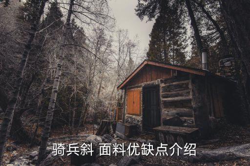 斜彈的面料,緯彈是什么面料