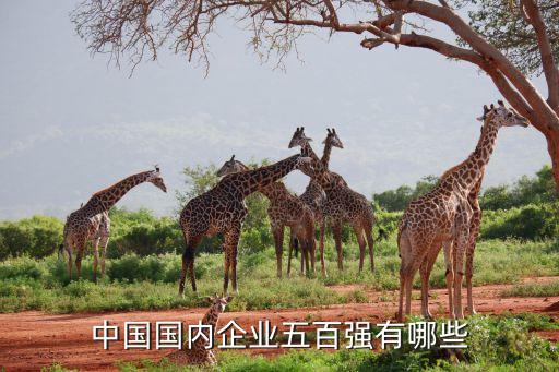 浙江創(chuàng)維紡織有限公司