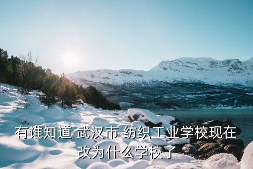武漢紡織大學(xué)怎樣搬遷