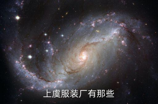 上虞服裝廠有那些