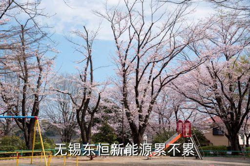 無錫東恒新能源累不累