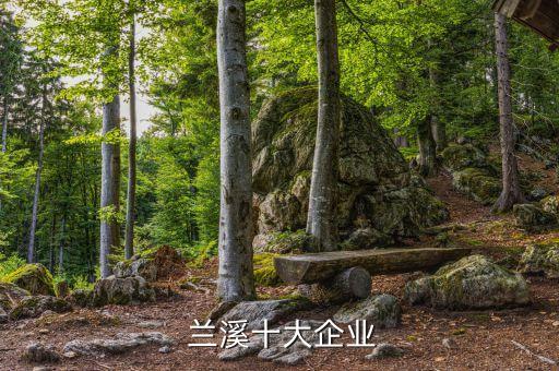  蘭溪十大企業(yè)