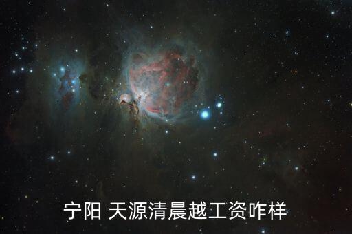 山東天源服裝股份有限公司 銷售前景,寧陽(yáng)天源服裝股份有限公司