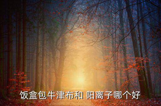 飯盒包牛津布和 陽離子哪個好