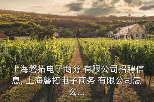  上海磐拓電子商務(wù) 有限公司招聘信息, 上海磐拓電子商務(wù) 有限公司怎么...