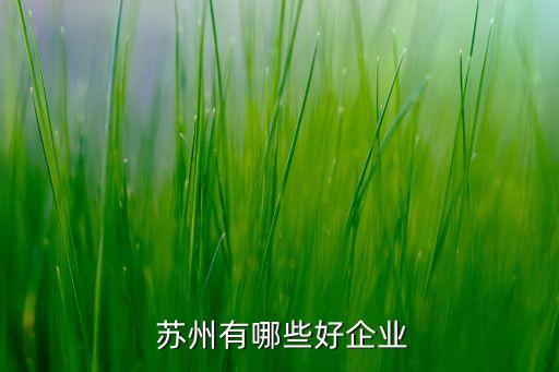  蘇州有哪些好企業(yè)