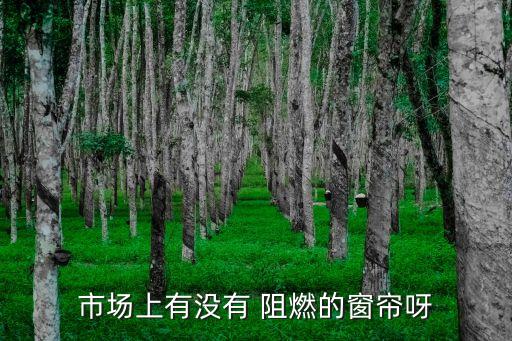阻燃布等功能性紡織品的制作工藝
