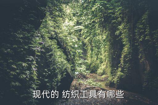 現(xiàn)代的 紡織工具有哪些