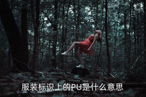 服裝標識上的PU是什么意思