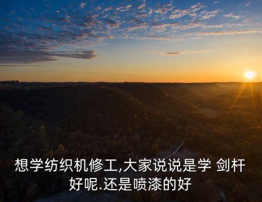 想學紡織機修工,大家說說是學 劍桿好呢.還是噴漆的好
