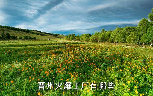 晉州火爆工廠有哪些