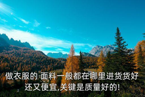 做衣服的 面料一般都在哪里進貨貨好還又便宜,關鍵是質量好的!