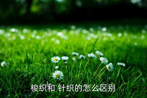 針織面料組織結(jié)構(gòu)