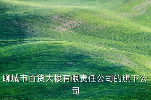 聊城市百貨大樓有限責(zé)任公司的旗下公司