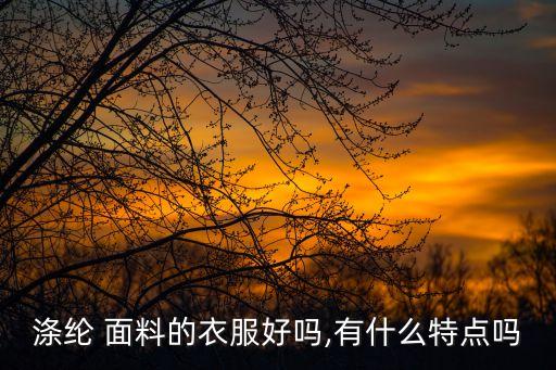 最新水洗襯衫面料格子布