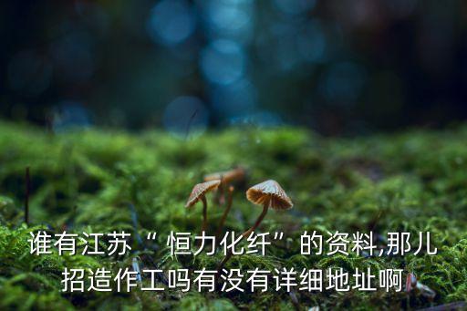 誰有江蘇“ 恒力化纖”的資料,那兒招造作工嗎有沒有詳細地址啊
