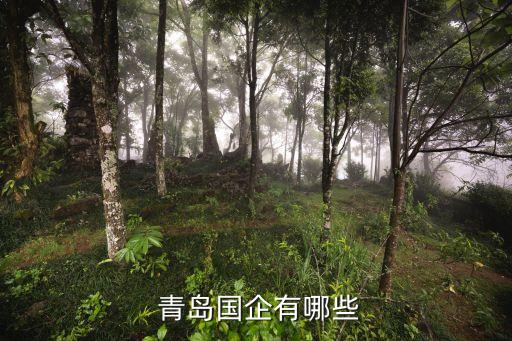  青島國(guó)企有哪些