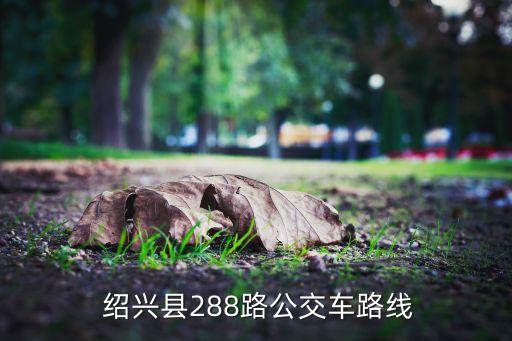 紹興縣288路公交車路線