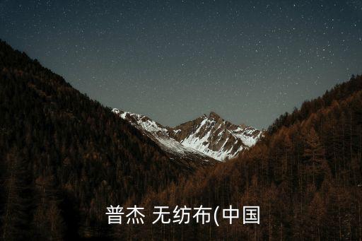 普杰無紡布(中國)有限公司電話