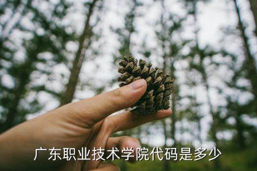 廣東職業(yè)技術(shù)學(xué)院代碼是多少