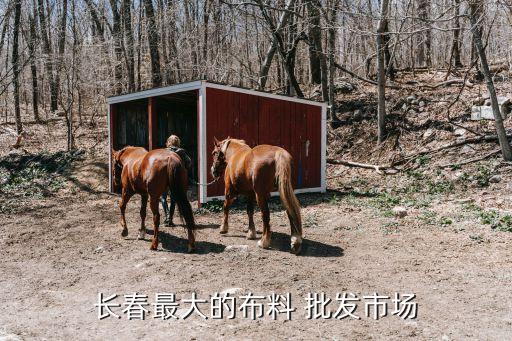 長春最大的布料 批發(fā)市場