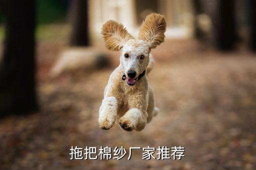 棉紡有限公司,新疆富麗震綸棉紡有限公司